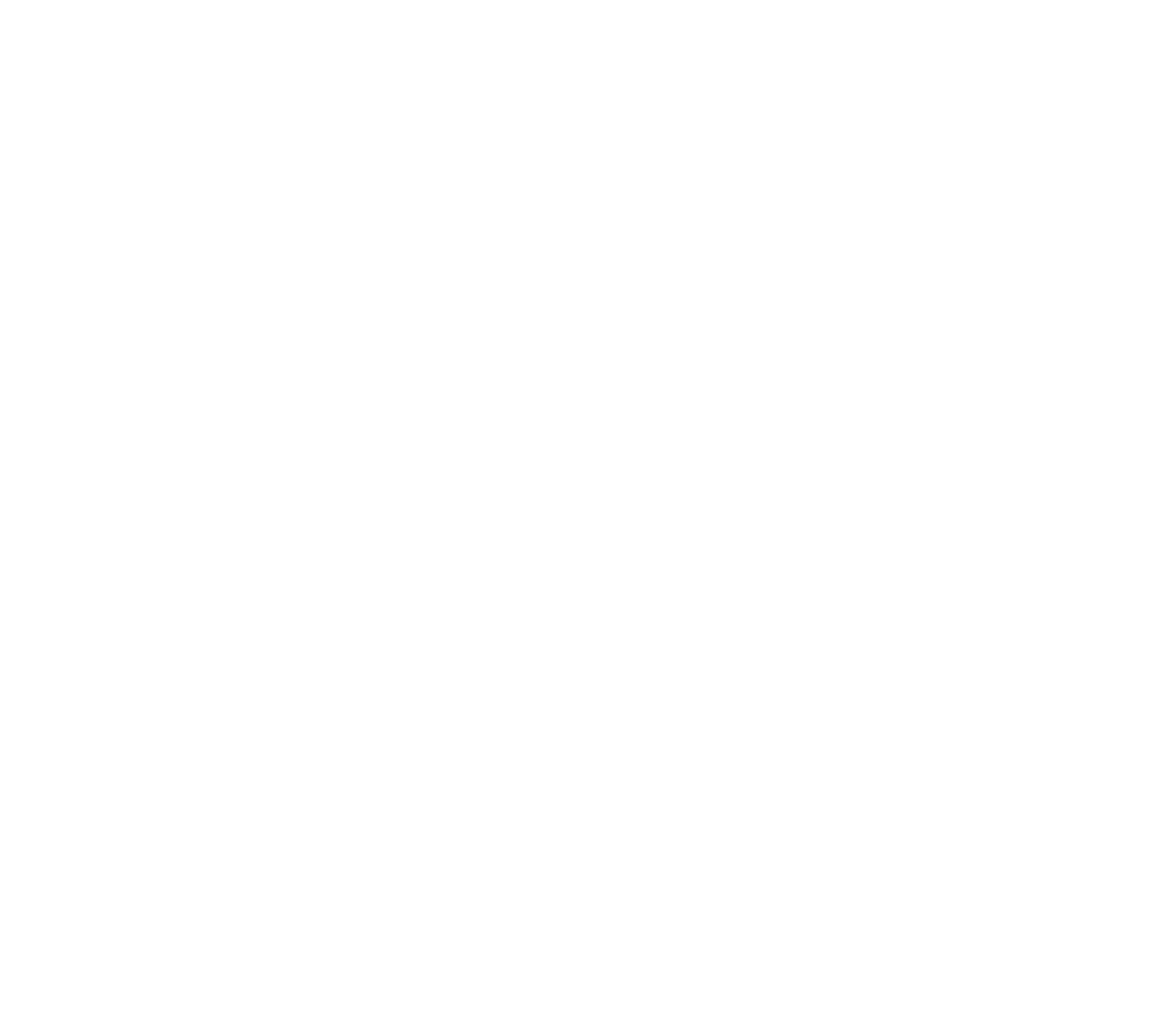 na-logo-white